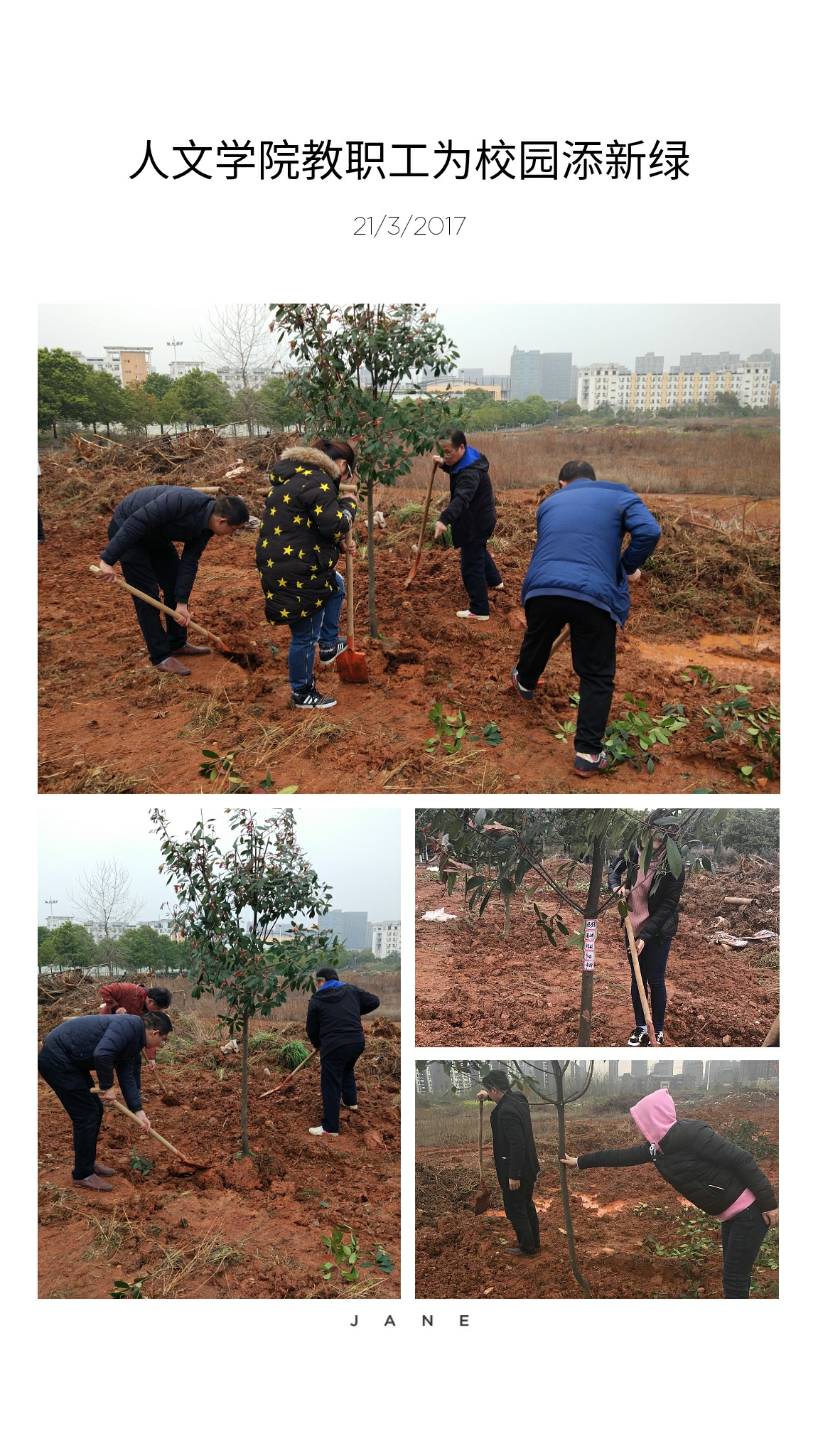 20170321植树.jpg